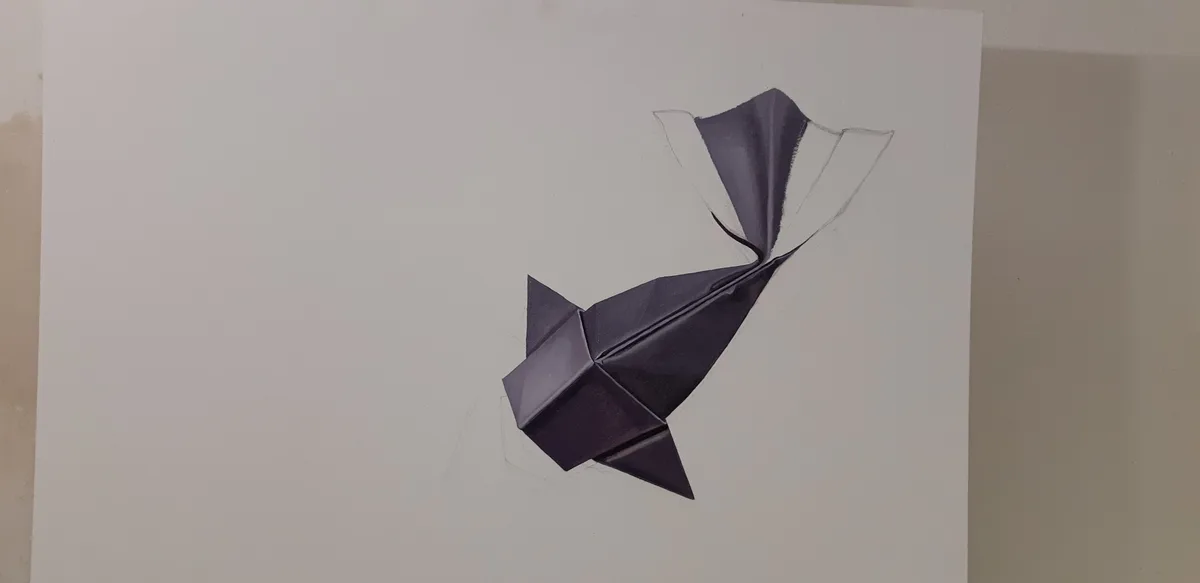 Koi ryba